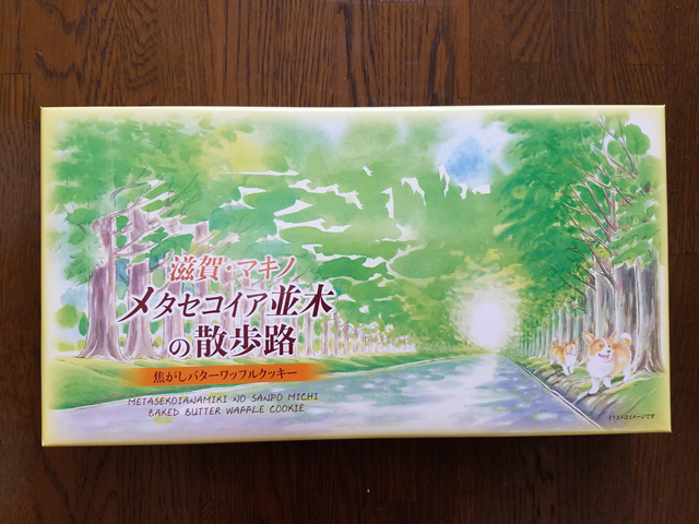 メタセコイヤ並木の散歩道